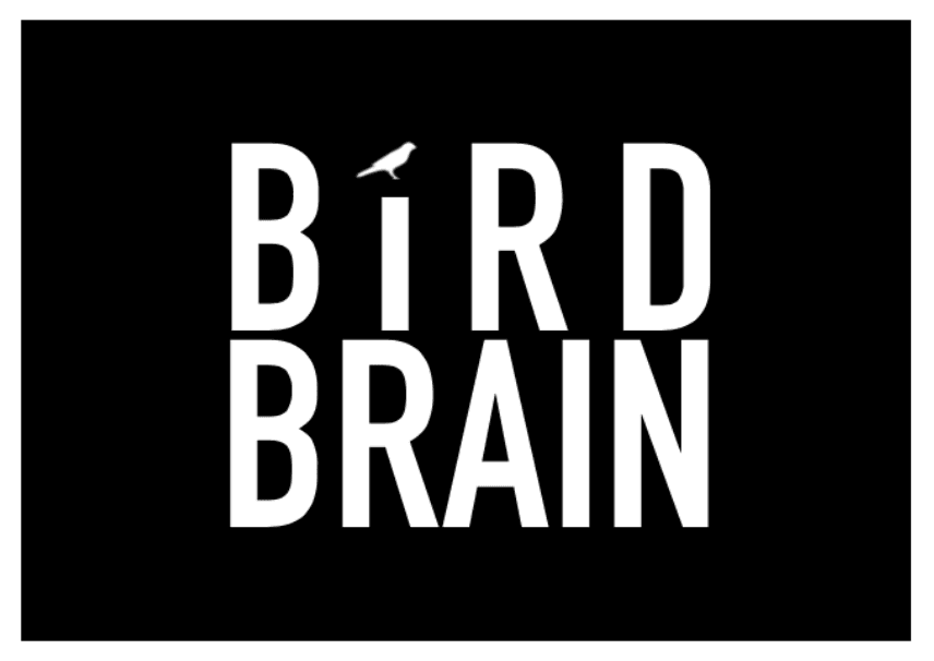 Birdbrain.png